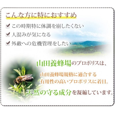プロポリス300×2本 (21224)