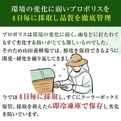 プロポリス300(103)
