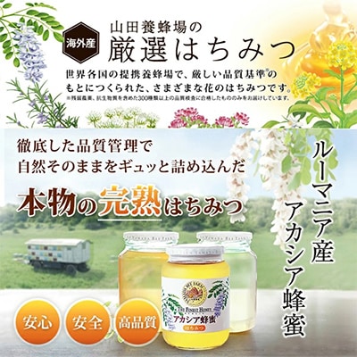 ルーマニア産アカシア蜂蜜300g(12025)