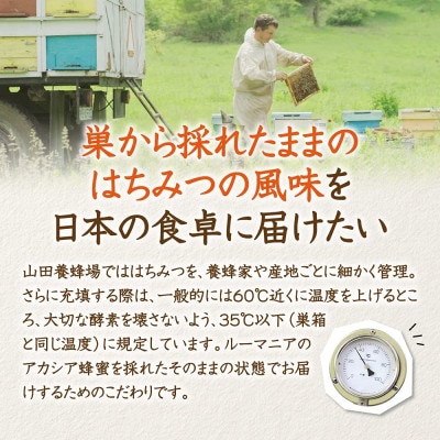 ルーマニア産アカシア蜂蜜300g(12025)