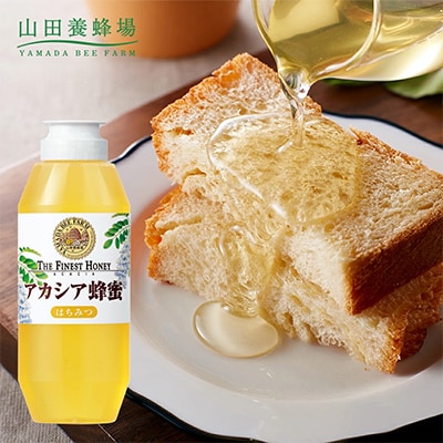 ルーマニア産アカシア蜂蜜500g(12670)