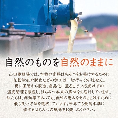 【お試しサイズ】アカシア蜂蜜(中国産)300g
