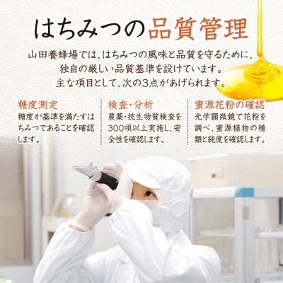 【お試しサイズ】アカシア蜂蜜(中国産)300g
