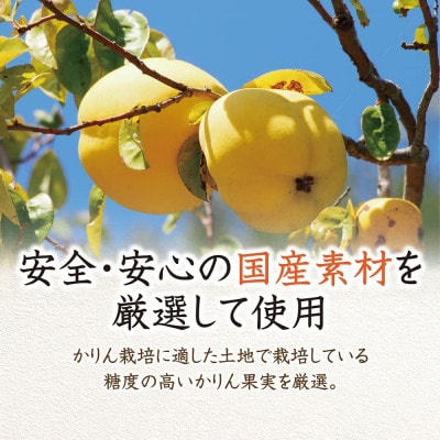 かりんはちみつ漬450g(26235)