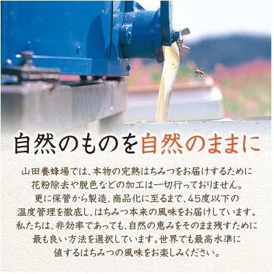 クローバー蜂蜜(ニュージーランド産)300g (03501)