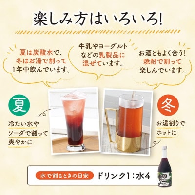 山ぶどうハニードリンク(04373)