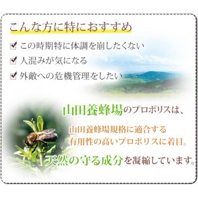 山田養蜂場　プロポリス粒　300粒袋入(11266)