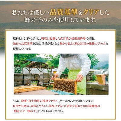 山田養蜂場　酵素パワー蜂の子　125球袋入(21523)