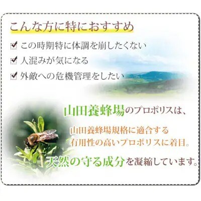 【毎月定期便】プロポリス粒 (486)全12回