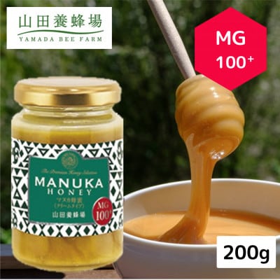 【毎月定期便】マヌカ蜂蜜(クリームタイプ)MG100+(22193)全3回