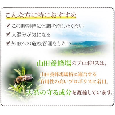 【毎月定期便】プロポリス粒 (486)全6回
