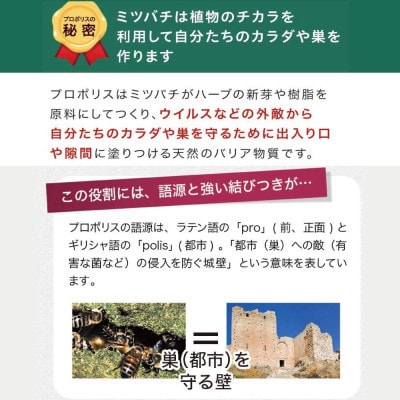 【毎月定期便】プロポリス粒 (486)全6回