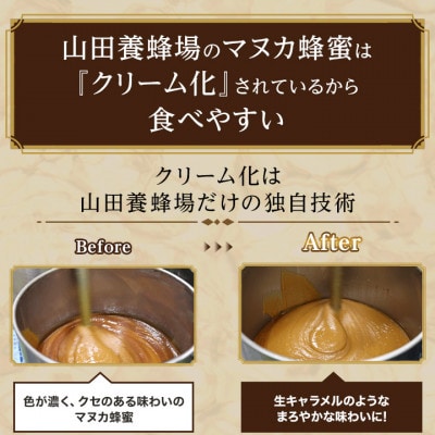 【毎月定期便】マヌカ蜂蜜(クリームタイプ)MG100+(22193)全6回