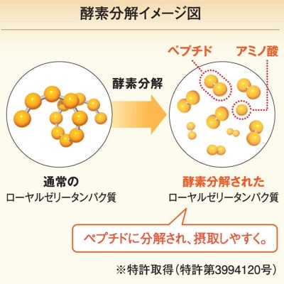 【毎月定期便】酵素分解ローヤルゼリー CoQ10(5935)全6回