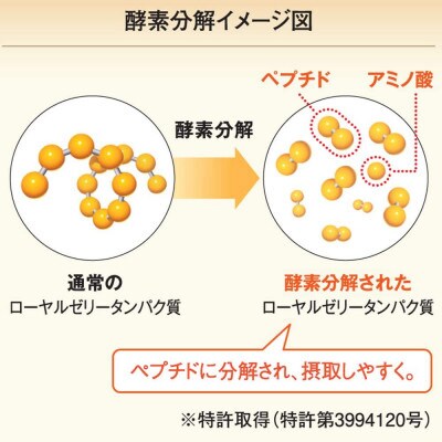 2023年8月発送開始『定期便』酵素分解ローヤルゼリー王乳の華 (991)全12回