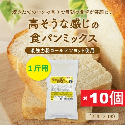 高そうな感じの食パンミックス1斤用×10個(ホームベーカリー用)