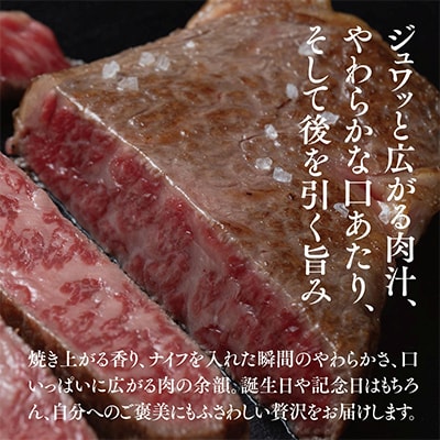 津山生まれ・津山育ち【つやま和牛】霜降りステーキ(リブロース・サーロイン)　600g(3枚)