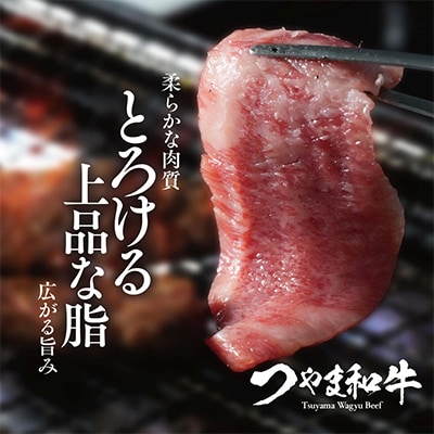 つやま和牛1人焼肉セット　250g