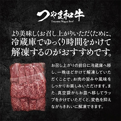 つやま和牛1人焼肉セット　250g