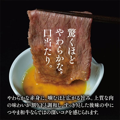 つやま和牛すき焼きセット(ももスライス)500g