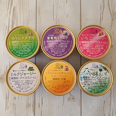 【ジャージー牛乳】パティシエが作るこだわりアイス 6種12個セットA　各120ml入り 