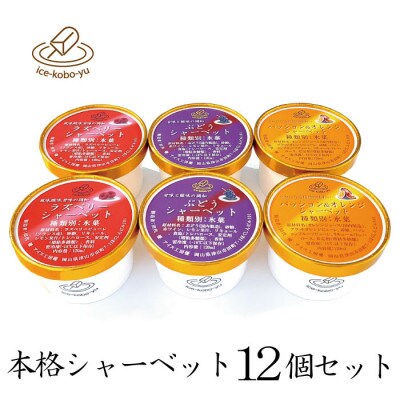【乳、卵不使用】パティシエが作るこだわりシャーベット 3種12個セット 各120ml入り