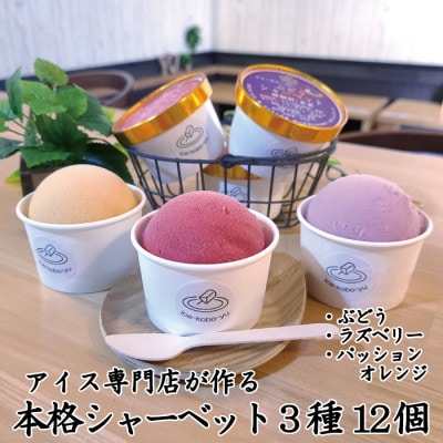 アイス専門店オーナーが作るこだわりシャーベット 3種12個セット各120ml入り 卵不使用 乳不使用