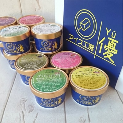 【ジャージー牛乳】パティシエが作るこだわりアイス色々 12種セット　各120ml入り 