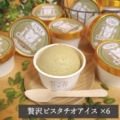 アイス職人の作るこだわりアイスクリーム6個セット　ピスタチオアイス　各90ml入り