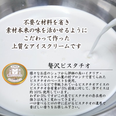 アイス職人の作るこだわりアイスクリーム12個セット　ピスタチオアイス　各90ml入り