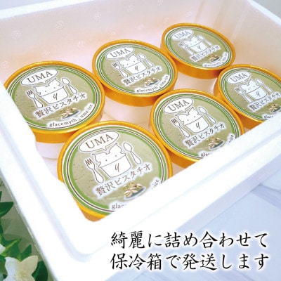 アイス職人の作るこだわりアイスクリーム12個セット　ピスタチオアイス　各90ml入り