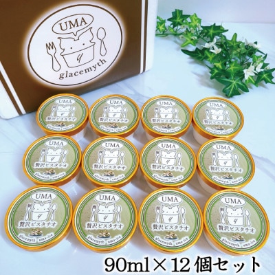 アイス職人の作るこだわりアイスクリーム12個セット　ピスタチオアイス　各90ml入り