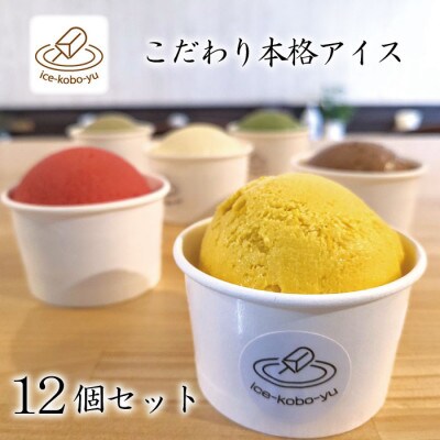 【ジャージー牛乳】パティシエがつくるこだわりアイス 6種12個セットA 各120ml入り