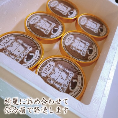 スイーツ専門店の作るこだわりアイスクリーム6個セット　チョコアイス　各90ml入り