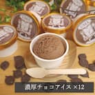 スイーツ専門店の作るこだわりアイスクリーム12個セット　チョコアイス　各90ml入り