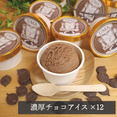 スイーツ専門店の作るこだわりアイスクリーム12個セット　チョコアイス　各90ml入り