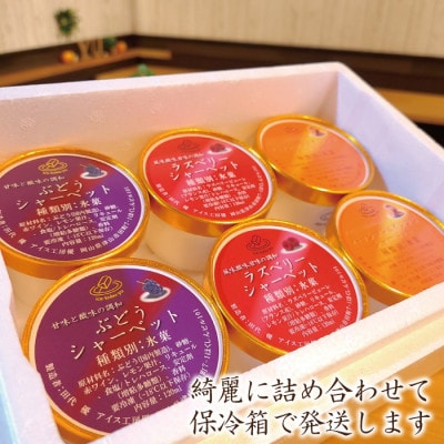 アイス専門店オーナーが作るこだわりシャーベット 3種18個セット各120ml入り 卵不使用 乳不使用