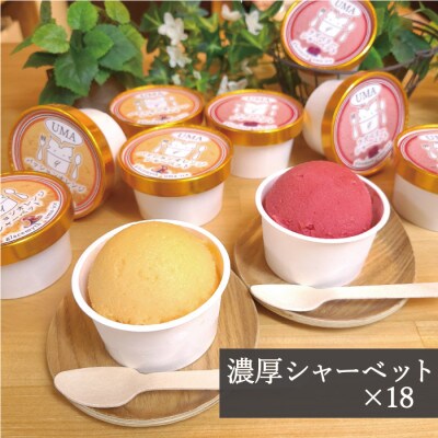 アイス職人が作るこだわりシャーベット 2種18個セット各90ml入り 卵不使用 乳不使用 小麦不使用