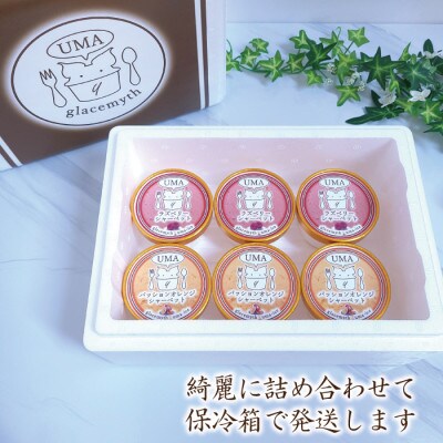 アイス職人が作るこだわりシャーベット 2種18個セット各90ml入り 卵不使用 乳不使用 小麦不使用