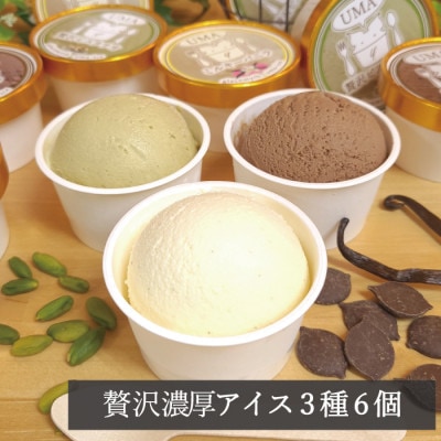 アイス職人の作るこだわりアイスクリーム3種6個セット 各90ml入り ピスタチオ チョコ バニラ