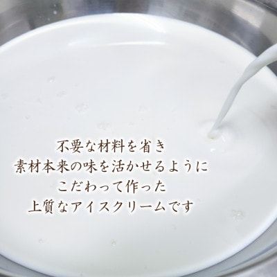 アイス職人の作るこだわり チョコ アイスクリーム 業務用 2リットル入り