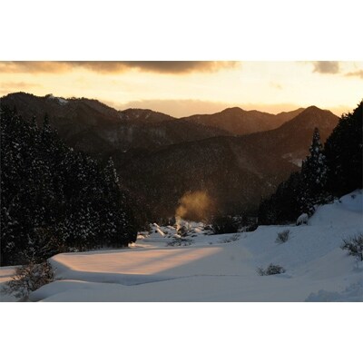 令和3年産 【岡山県津山市】 清流で育った津山のあきたこまち 玄米30kg(10kgx3)