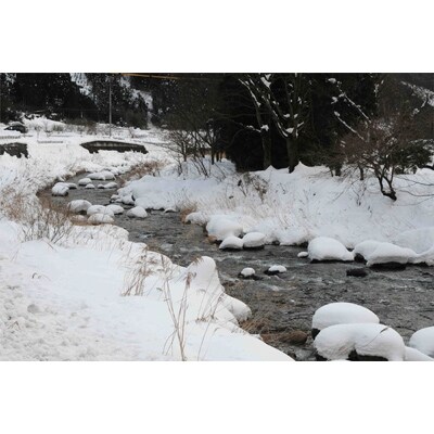 令和3年産 【岡山県津山市】 清流で育った津山のあきたこまち 玄米30kg(10kgx3)