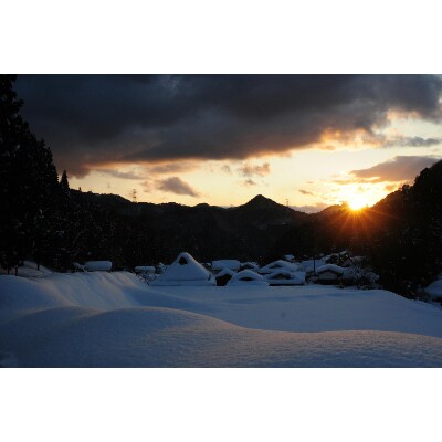 令和3年産 【岡山県津山市】 清流で育った津山のコシヒカリ 白米10kg(5kg×2)