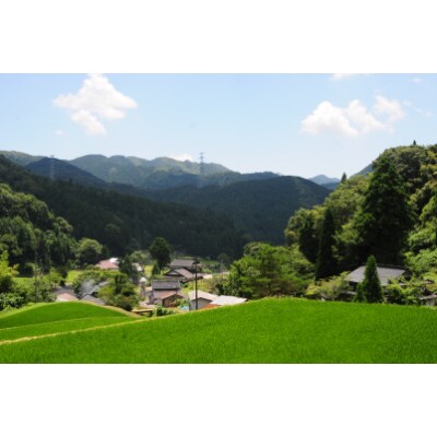 令和3年産 【岡山県津山市】 清流で育った津山のあきたこまち 玄米10kg(5kg×2)