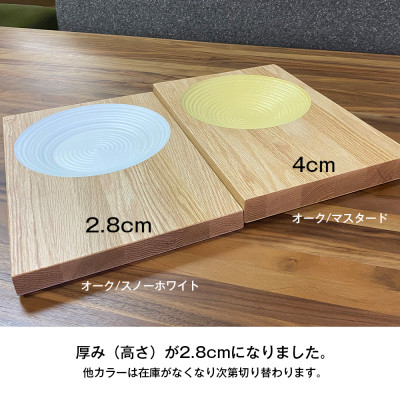 晴れの日のパスタ皿【ウォルナット/インクブラック】H28mm