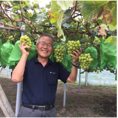 SUMU シャインマスカット・ウィンターハーベスト 2023(375ml)