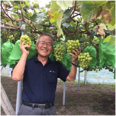 SUMU シャインマスカット・プレミアム 2023(750ml)