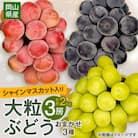 【2025年10月より発送】大粒ぶどう3種セット2kg シャインマスカット ピオーネ クイーンニーナ