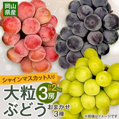 【2025年10月より発送】大粒ぶどう3種セット2kg シャインマスカット ピオーネ クイーンニーナ